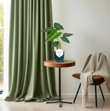 Alocasia Frydek 35 cm - GREEN OASIS - SHOP