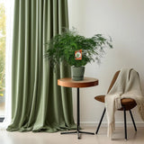 Asperges Setaceus - Ø27cm - ↕70cm - GREEN OASIS - SHOP