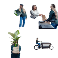 Boîte surprise - Ø12cm - ↕25cm - x6 Everspring