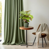 Calathea Makoyana - Ø14cm - ↕45cm Everspring