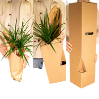 Calathea Warscewiczii - Plante paon - Ø19cm - ↕70cm Everspring