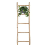 Hedera Helix Vert - Hangpot Blanc / Basic - Ø17cm - ↕40cm - GREEN OASIS - SHOP