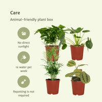 Jardinière respectueuse des animaux - 4 pièces - Ø12cm - ↕20-40cm Everspring