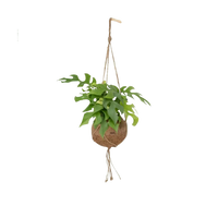 Kokodama Monstera Minima - Plante à trous - Ø15cm - ↕25cm Everspring