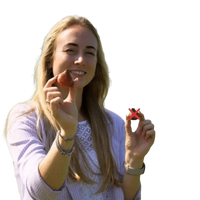 🌼 Mélange de bulbes sauvages – Pack Éco de 50 Bulbes - GREEN OASIS - SHOP