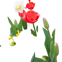 🌼 Mélange de bulbes sauvages – Pack Éco de 50 Bulbes - GREEN OASIS - SHOP