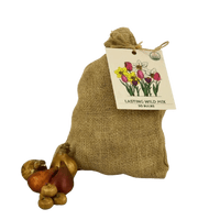 🌼 Mélange de bulbes sauvages – Pack Éco de 50 Bulbes - GREEN OASIS - SHOP