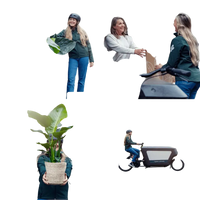 Mélange de plantes succulentes - 18 pièces - 10 cm - Ø8,5 Everspring