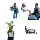 Mélange de plantes succulentes - 9 pièces - 10 cm - Ø8,5 Everspring