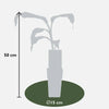 Musa Basjoo - Ø15cm - ↕50cm - GREEN OASIS - SHOP