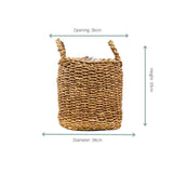 Panier Basket Jack - 38x33 - GREEN OASIS - SHOP Plantes vertes originales livrées à votre domicile