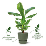 Pot Elho Greenville rond Blanc - D24 x H23 - GREEN OASIS - SHOP