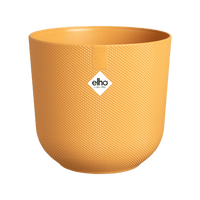 Pot Elho Jazz Rond Jaune Ambré - D19 x H18 - GREEN OASIS - SHOP Plantes vertes originales livrées à votre domicile