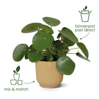 Pot Elho Vibes Fold rond Bleu - D18 x H17 Everspring