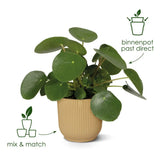 Pot Elho Vibes Fold Rond Bleu - D25 x H23 - GREEN OASIS - SHOP