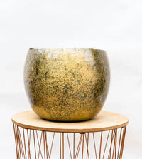Pot Ellen Brass - 25x19 Everspring