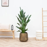 Pot Indigo Vintage Or - D58 x H51 - GREEN OASIS - SHOP Plantes vertes originales livrées à votre domicile