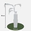 Musa Basjoo - Ø15cm - ↕50cm Everspring