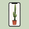 Euphorbia Acrurensis - Ø17cm - ↕50cm Everspring
