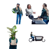 Yucca Elephantipes - Ø17cm - ↕85cm Everspring