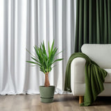 Yucca « Maya Tree »  - Ø19 cm - ↕80 cm Everspring